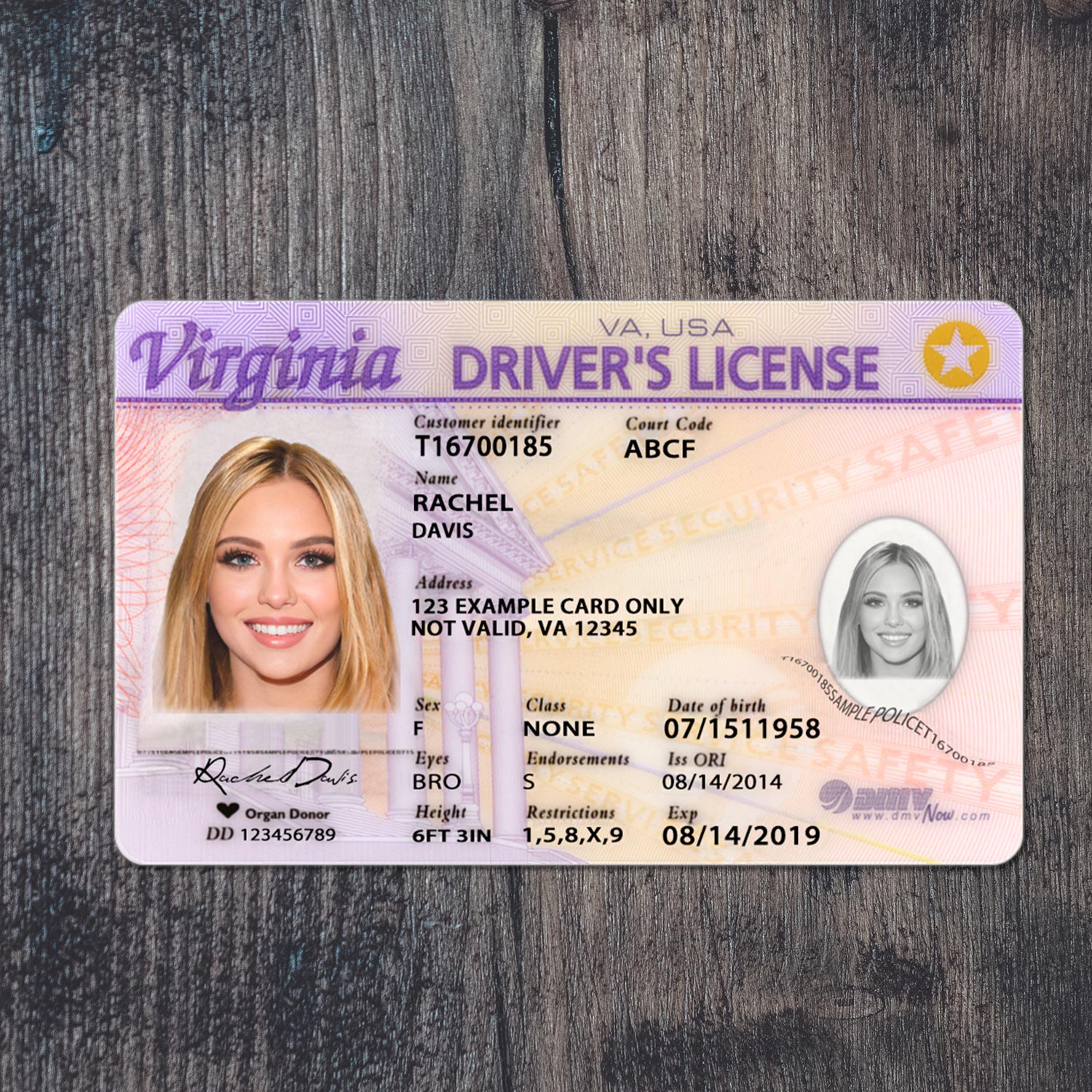 High-Quality Virginia Driver License Template