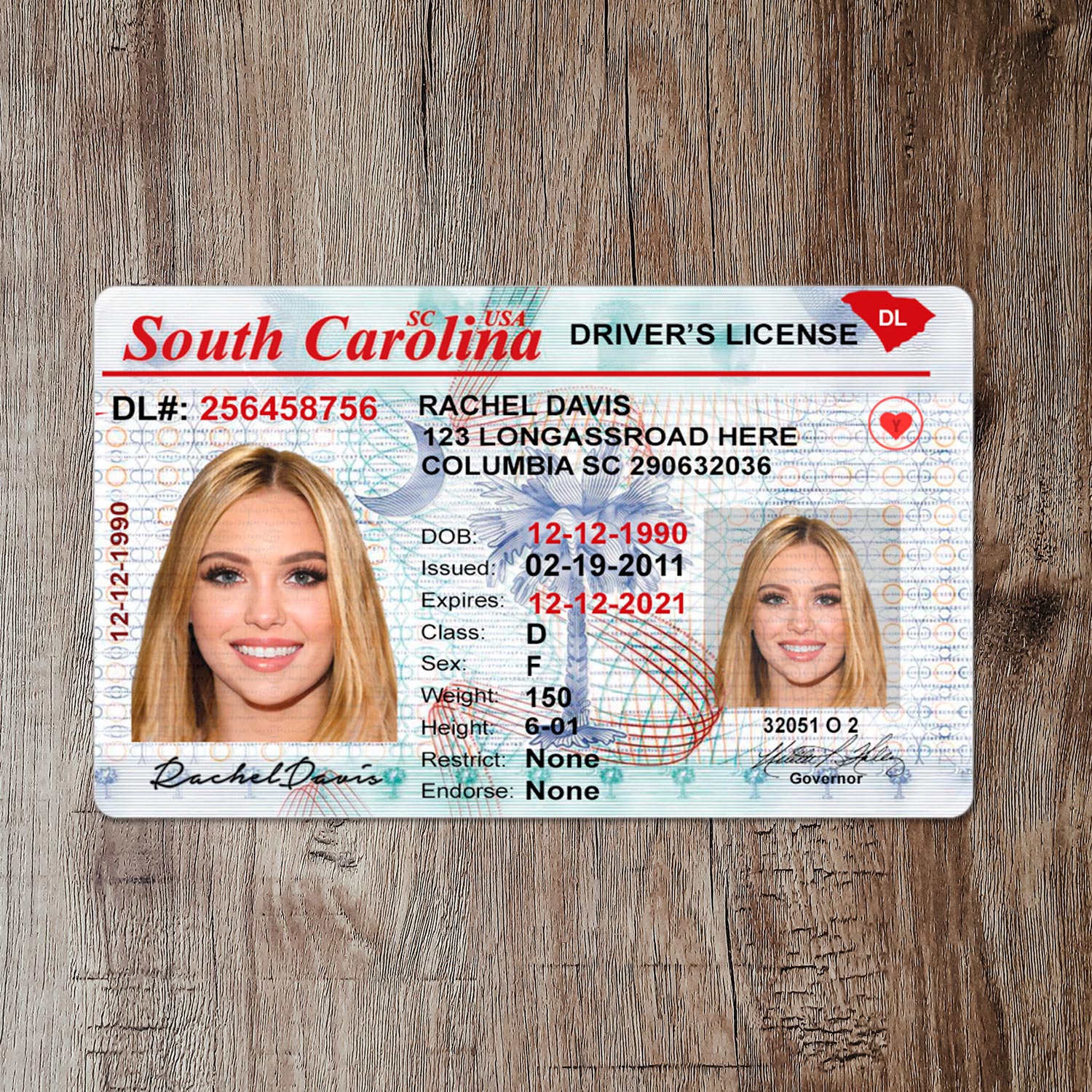 High-Quality South Carolina Driver License Template