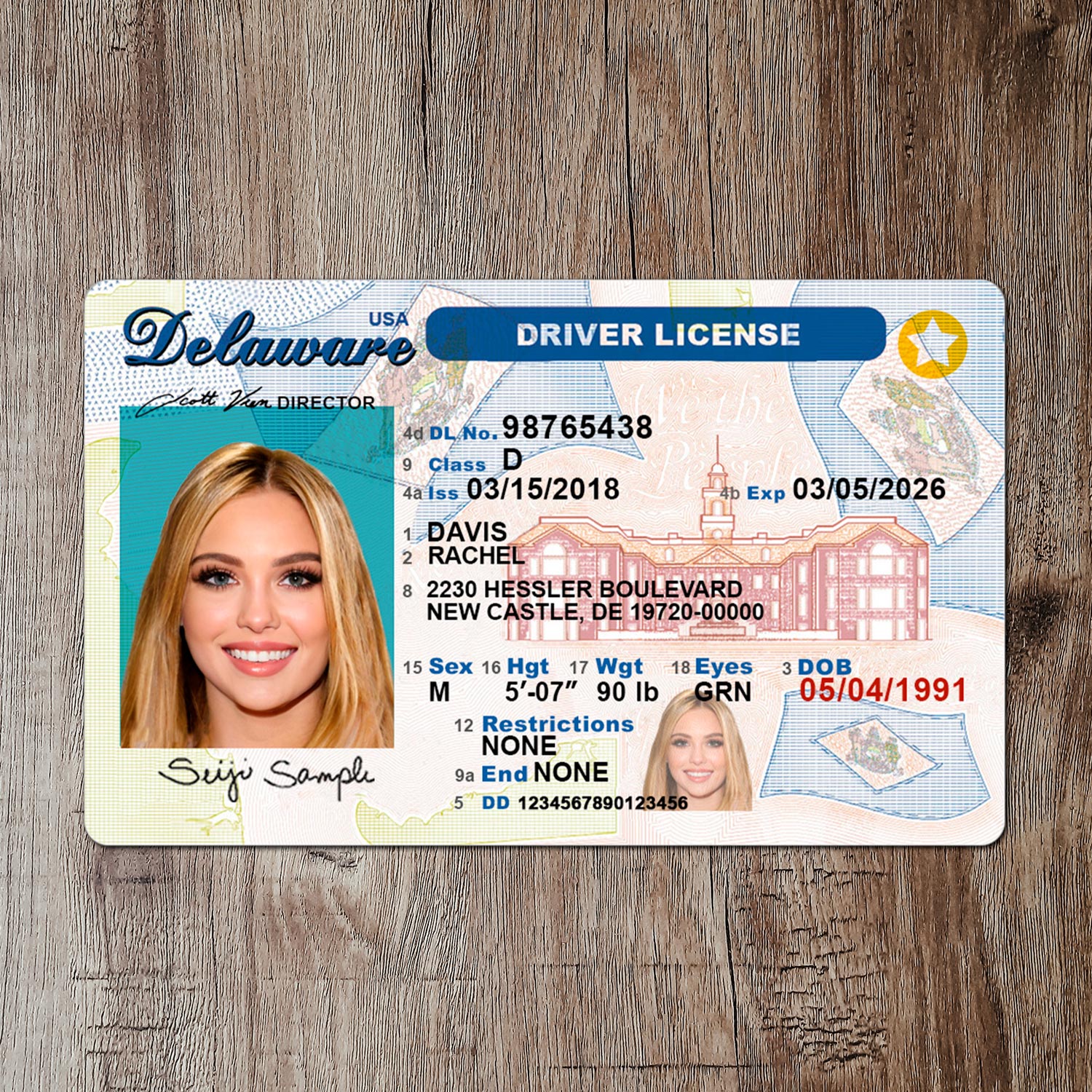 Authentic Delaware Driver License Template