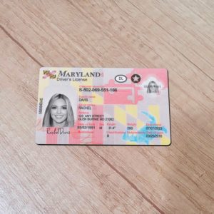Maryland Fake driver license