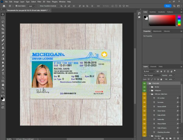 Michigan Fake driver license template